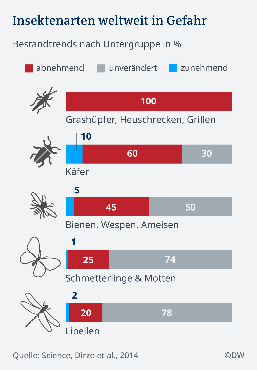 Zeigt ein Balkendiagramm "Insektenarten weltweit in Gefahr"