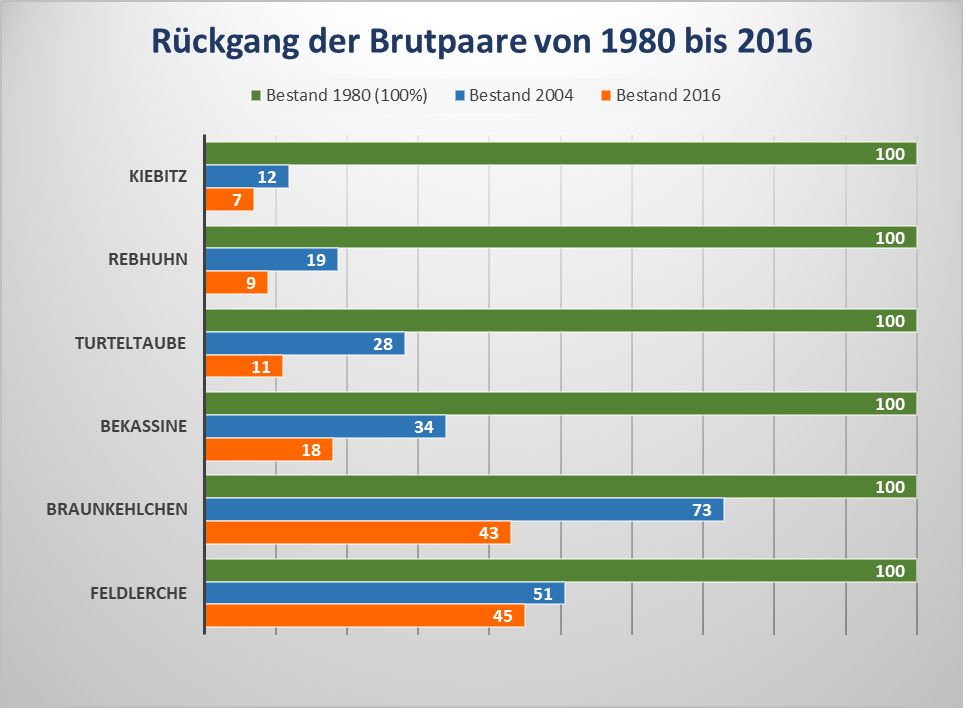 Zeigt den Rückgang der Brutpaare von 1980 bis 2016 als Balkendiagramm